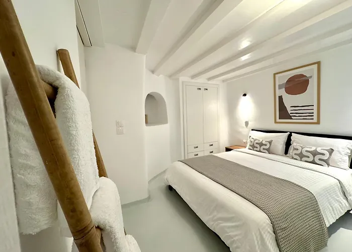 Entropia Loft Myconian *