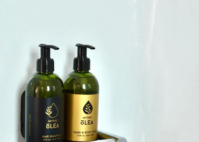 Entropia Loft Myconian Daire *